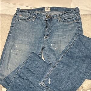 Hudson Jeans Elle Midrise Light Blue Straight Leg Denim-29